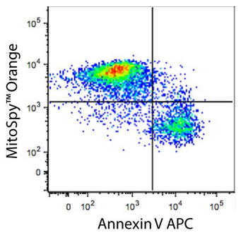 圖片10.png 圖片10.png